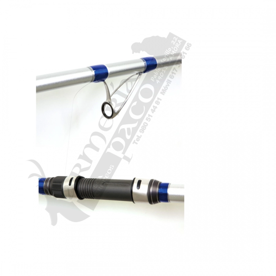 Caña Fishing Ferrari Palma 4,20 m 150-250 g Fuji