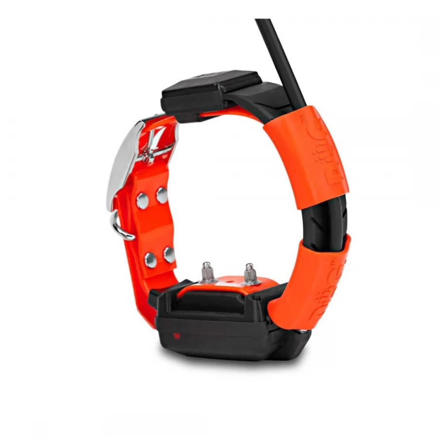 Equipo X30-T (mando+collar+educativo) Equipo X30-T (mando+collar+educativo)