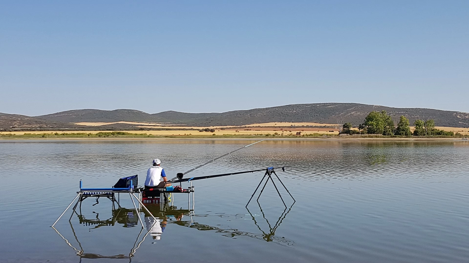 Quiénes Somos Quiénes Somos