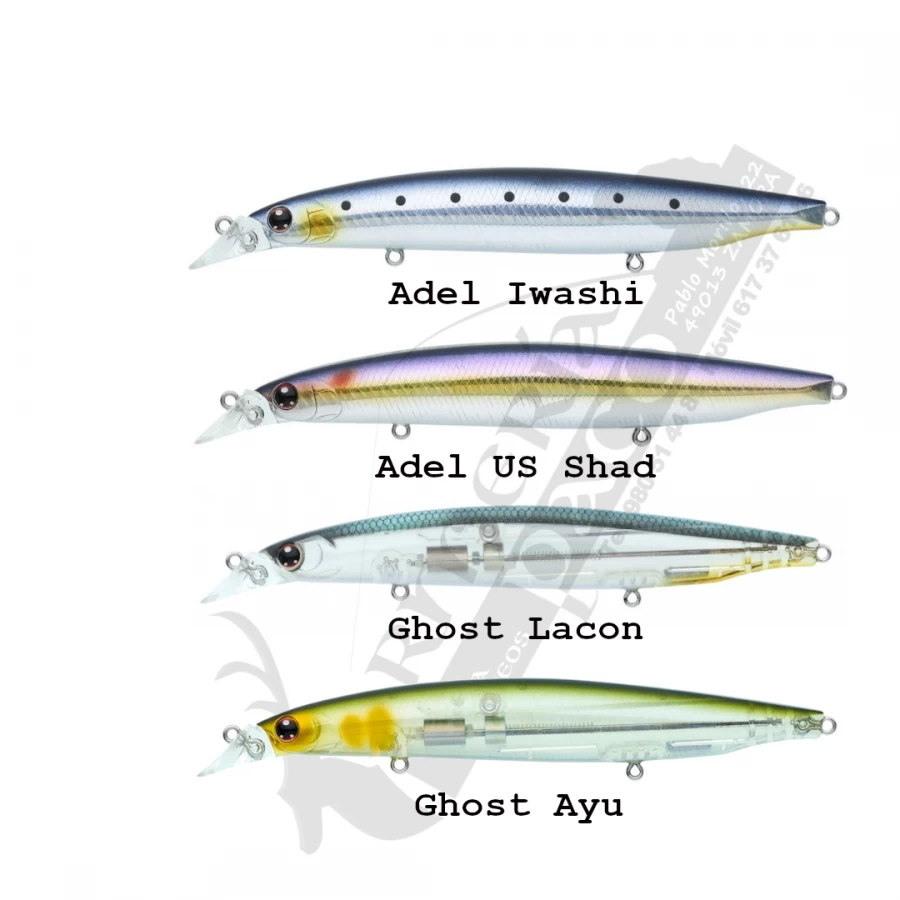 Shore Line Shiner Z Vertice R 125S