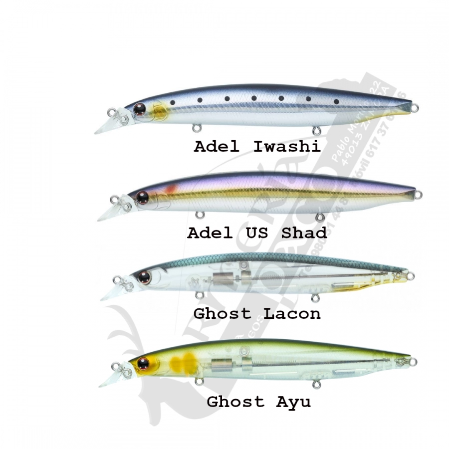 Shore Line Shiner Z Vertice R 125S